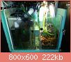         

:  IMG_20161118_095335.jpg
:  262
:  222,1 KB