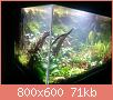         

:  pl 2.jpg
:  280
:  70,7 KB