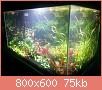         

:  pl 3.jpg
:  292
:  74,8 KB