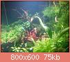         

:  pl 4.jpg
:  260
:  74,6 KB