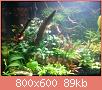         

:  pl 6.jpg
:  275
:  89,4 KB
