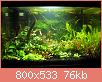         

:  pic 1.jpg
:  302
:  76,2 KB