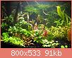         

:  pic 3.jpg
:  274
:  91,1 KB