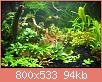         

:  pic 4.jpg
:  286
:  94,1 KB
