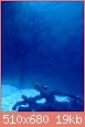         

:  IMG_20170102_145001701.jpg
:  285
:  18,6 KB