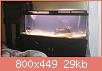         

:  IMG_20170103_162156.jpg
:  551
:  28,5 KB