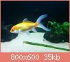         

:  IMG_20170115_223518-1600x1200.jpg
:  339
:  35,1 KB