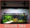         

:  20170131_160654.jpg
:  211
:  59,2 KB