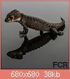         

:  RedEyeCrocodileSkink__79843.1404761708.1280.1280.jpg
:  742
:  38,0 KB