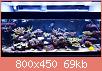         

:  tapatalk_1486852737689.jpg
:  230
:  69,4 KB