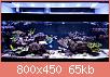         

:  tapatalk_1486852748854.jpg
:  226
:  64,5 KB
