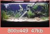         

:  IMG_20170121_185312.jpg
:  280
:  47,5 KB