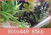         

:  IMG_20170216_000940.jpg
:  268
:  65,2 KB