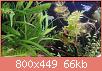         

:  IMG_20170216_000931.jpg
:  260
:  66,4 KB