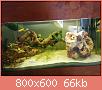         

:  16936149_10208612848693776_1493466947_o.jpg
:  194
:  65,8 KB