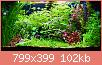         

:  tmp_7160-2-1205095487.jpg
:  304
:  101,7 KB
