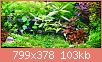         

:  tmp_7160-4-20875831.jpg
:  282
:  103,5 KB