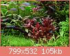         

:  tmp_7160-62023940540.jpg
:  255
:  104,6 KB