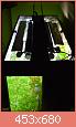         

:  tmp_7160-51349473165.jpg
:  279
:  32,4 KB