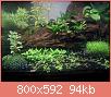         

:  3.jpg
:  554
:  93,7 KB