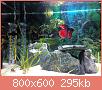         

:  IMG_20170326_211502.jpg
:  637
:  294,6 KB