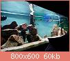         

:  IMG_20170402_232740.jpg
:  402
:  59,8 KB