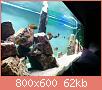         

:  IMG_20170402_230900.jpg
:  363
:  61,5 KB