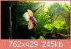         

:  2017-04-08 20.45.20.jpg
:  372
:  245,1 KB