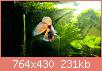         

:  2017-04-08 20.46.30.jpg
:  388
:  230,6 KB