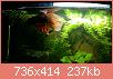         

:  2017-04-08 20.47.03.jpg
:  407
:  237,0 KB