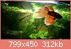         

:  2017-04-08 20.47.32.jpg
:  407
:  312,1 KB
