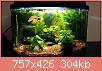         

:  2017-04-09 20.20.06.jpg
:  292
:  304,4 KB