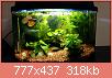         

:  2017-04-09 20.20.42.jpg
:  270
:  318,3 KB