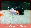        

:  s2.jpg
:  372
:  75,2 KB