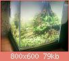         

:  t2.jpg
:  324
:  78,8 KB