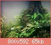         

:  t4.jpg
:  338
:  64,6 KB
