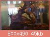         

:  18600521_10209490546803168_1829931129_n.jpg
:  309
:  44,6 KB
