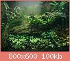         

:  pic 3.jpg
:  629
:  100,4 KB