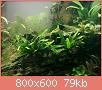         

:  pic 4.jpg
:  653
:  79,3 KB