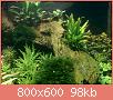        

:  pic 5.jpg
:  597
:  98,4 KB