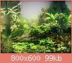         

:  IMG_20170613_000631.jpg
:  642
:  98,7 KB