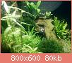         

:  IMG_20170613_000720.jpg
:  595
:  80,4 KB