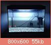         

:  19532743_1476458185734075_539719974_o.jpg
:  483
:  55,4 KB