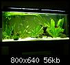         

:  P5310057.jpg
:  381
:  56,2 KB