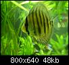         

:  P5310079.jpg
:  292
:  48,3 KB