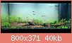         

:  tank 1.jpg
:  452
:  40,0 KB