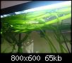         

:  DSC00272.JPG
:  288
:  64,8 KB