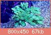         

:  FullSizeRender (3).jpg
:  565
:  67,3 KB