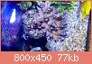         

:  FullSizeRender (2).jpg
:  560
:  76,9 KB
