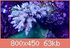         

:  FullSizeRender (4).jpg
:  565
:  63,4 KB